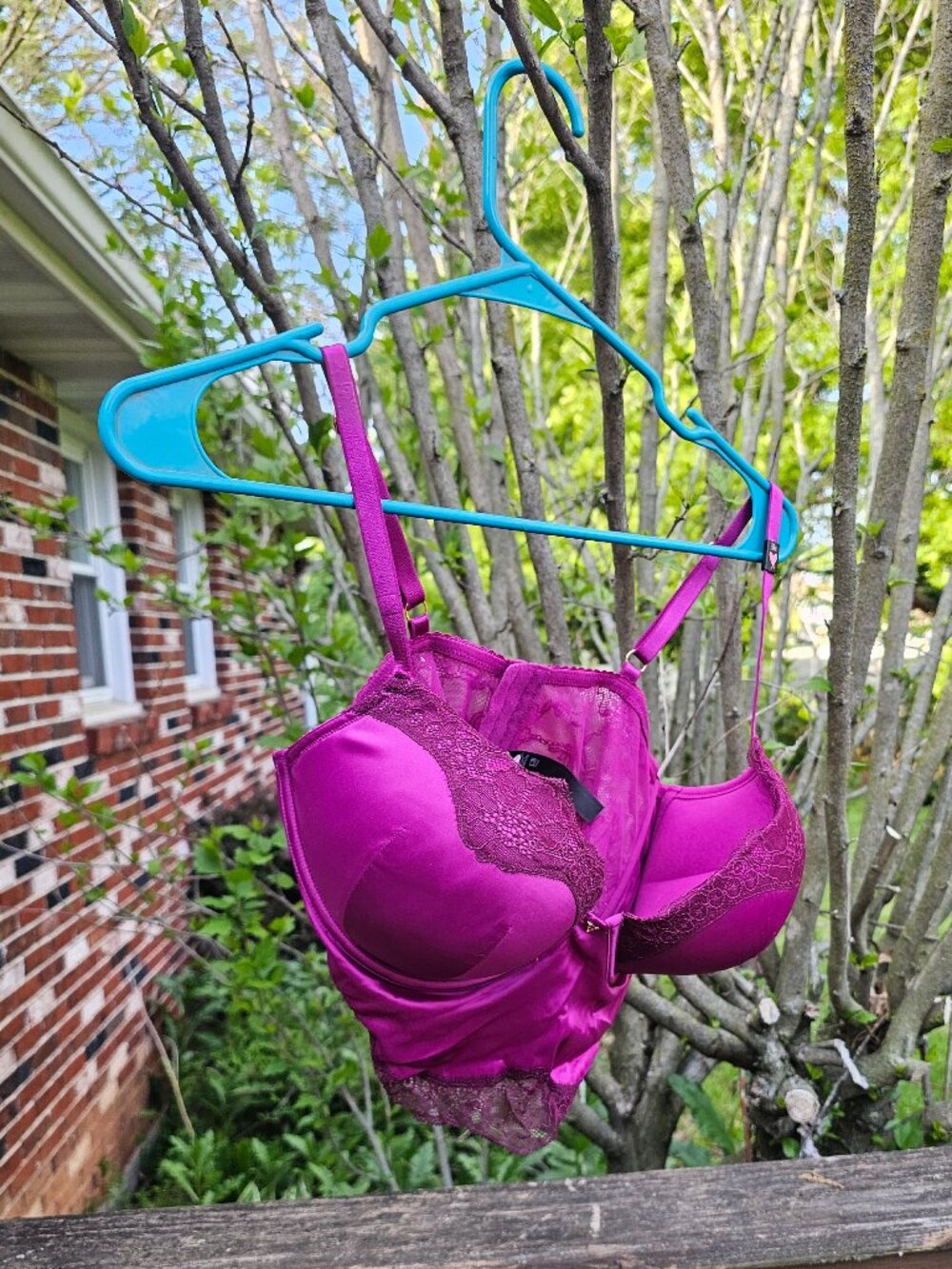 NWT Victoria's Secret Bombshell Plunge Longline Bra 38C Satin Pink Lace Lingerie